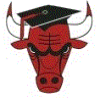 Chicago Bulls Academy logo